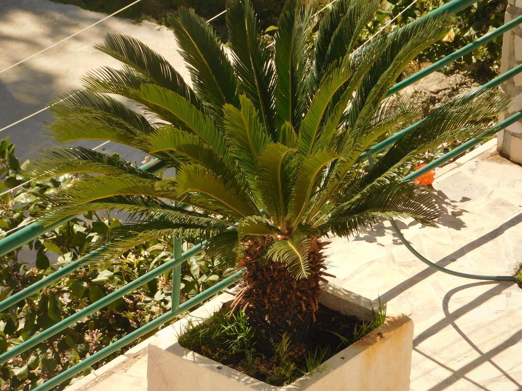 Villa Ana Podgora Exterior foto